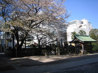 2007_04_05_tokyo,_harajuku