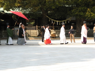 2007_04_08_park_o_hanami_samt_mat