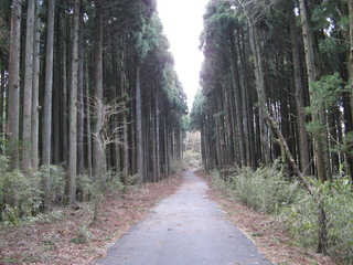 2007_04_09-10_Hakone_nationalpark_och_Odawara