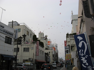 2007_04_09-10_Hakone_nationalpark_och_Odawara