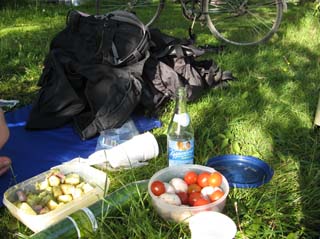 2008_05_31_Picknick