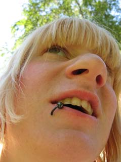 2008_05_31_Picknick