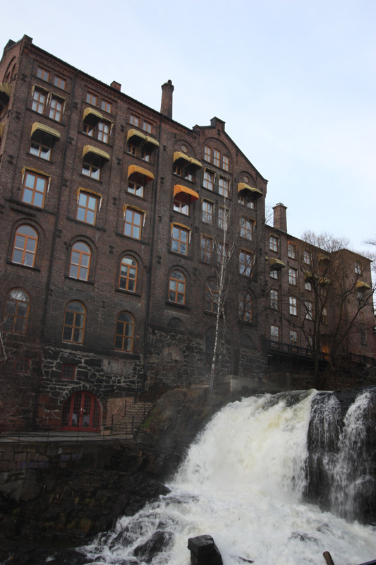 IMG_9837.jpg