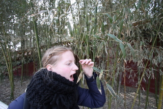 2010_03_23_Forbidden_City,_Tiananmen_Square