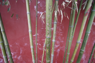 2010_03_23_Forbidden_City,_Tiananmen_Square