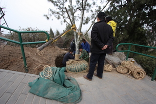 2010_03_23_Forbidden_City,_Tiananmen_Square
