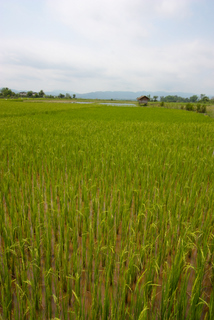 2010_04_23-30_Louang_Namtha,_Laos