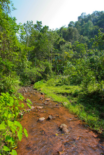 2010_04_23-30_Louang_Namtha,_Laos