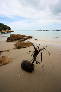 2010_06_26_Penang_National_Park,_Malaysia