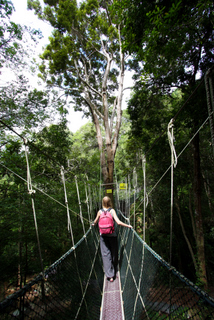 2010_06_26_Penang_National_Park,_Malaysia
