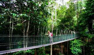 2010_06_26_Penang_National_Park,_Malaysia