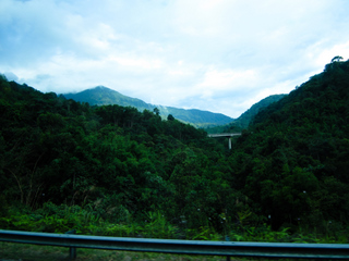 2010_06_30-07_02_Tanah_Rata,_Cameron_Highlands,_Malaysia