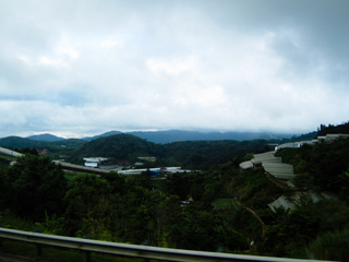 2010_06_30-07_02_Tanah_Rata,_Cameron_Highlands,_Malaysia