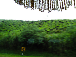 2010_06_30-07_02_Tanah_Rata,_Cameron_Highlands,_Malaysia