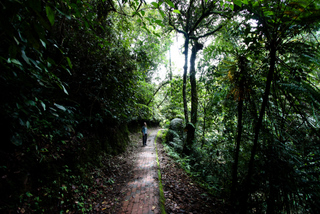 2010_06_30-07_02_Tanah_Rata,_Cameron_Highlands,_Malaysia