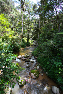 2010_06_30-07_02_Tanah_Rata,_Cameron_Highlands,_Malaysia