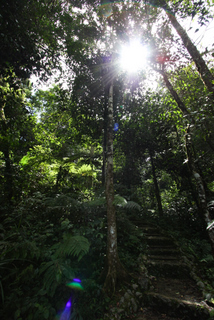 2010_06_30-07_02_Tanah_Rata,_Cameron_Highlands,_Malaysia