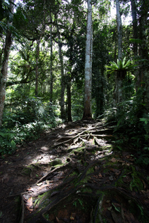 2010_06_30-07_02_Tanah_Rata,_Cameron_Highlands,_Malaysia