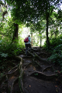 2010_06_30-07_02_Tanah_Rata,_Cameron_Highlands,_Malaysia