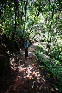 2010_06_30-07_02_Tanah_Rata,_Cameron_Highlands,_Malaysia