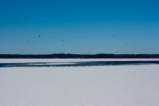 2011_03_01-31_Retro,_Danmark,_Militaria