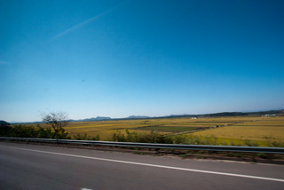 2011_09_30_Korea,_Panjunmon,_DMZ