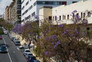 2012_04_03_Santa_Cruz_de_Tenerife