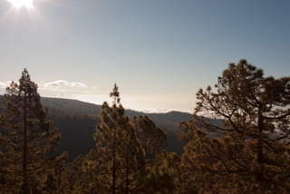 2012_04_04_El_Teide_National_Park,_Tenerife