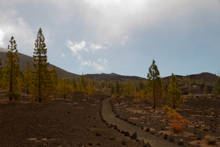 2012_04_04_El_Teide_National_Park,_Tenerife