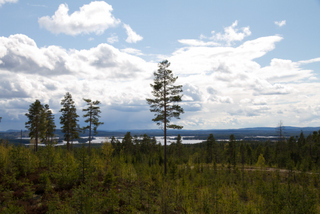 2012_05_17-19_Fredriksberg,_Dalarna