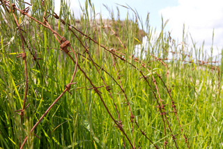 2012_06_23-24_Bayeux_och_Omaha_Beach,_Normandie,_Frankrike