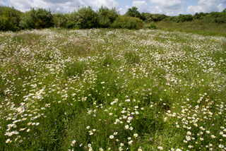 2012_06_23-24_Bayeux_och_Omaha_Beach,_Normandie,_Frankrike
