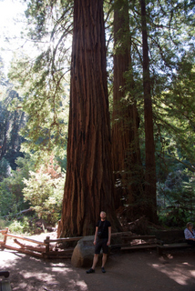 2012_10_02_Muir_Woods_aka_Endor-skogen