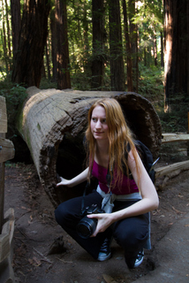 2012_10_02_Muir_Woods_aka_Endor-skogen