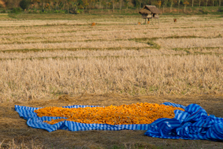 2013_02_13-18_Luang_Namtha,_Laos