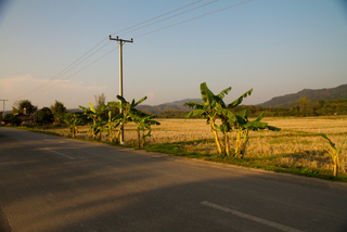 2013_02_13-18_Luang_Namtha,_Laos