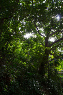 2013_10_30-31_Beitou_Hot_Springs