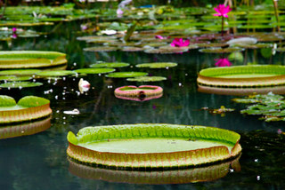 2013_10_31_Taipei_Zoo