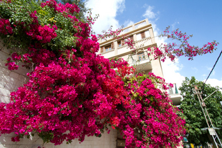 2014_03_07-12_Tel_Aviv,_Israel