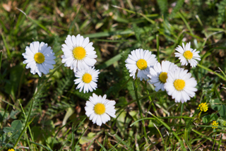 2014_06_05-08_Gotland