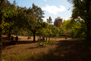 2014_10_18-19_Brooklyn