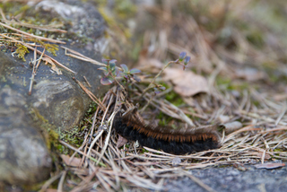 2015_04_05_Kristinehamn,_Degerfors,_Kumla