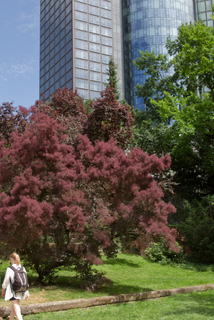 2015_06_14-16_Frankfurt
