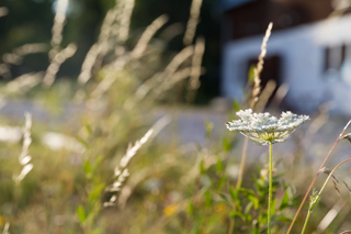 2015_07_20_Visby,_Kappelshamn,_Gotland