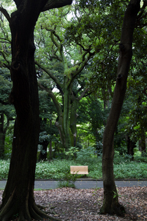 2015_08_27-28_Tokyo,_Shinjuku,_Park_Hyatt