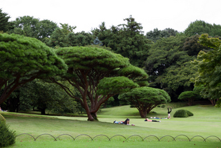 2015_08_27-28_Tokyo,_Shinjuku,_Park_Hyatt