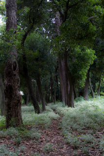 2015_08_27-28_Tokyo,_Shinjuku,_Park_Hyatt