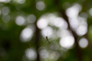 2015_08_27-28_Tokyo,_Shinjuku,_Park_Hyatt