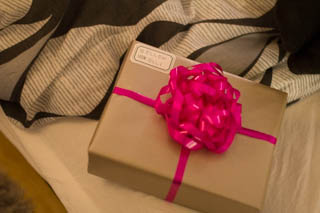 2015_12_25-28_Juldagen_i_Alvesta,_Tak,_Elli_i_Ellmhult