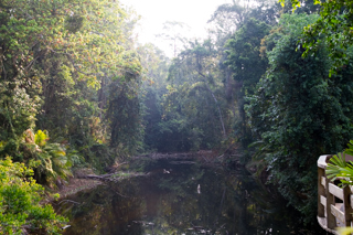 2016_02_14-18_Khao_Yai_Nationalpark_Thailand